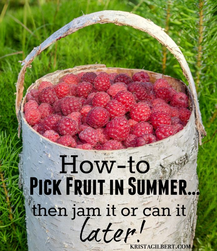 jam.it.can.it