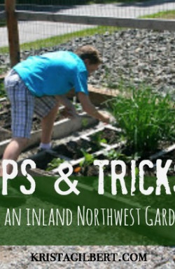 Gardening Tips & Tricks for the Inland Northwest