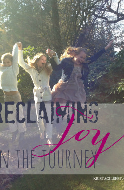 Day #29 Reclaiming Joy in the Journey