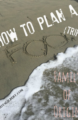 How to Take a Family of Origin Trip (FOO)