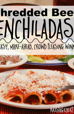 Shredded Beef Enchilada Recipe