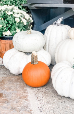 Pottery Barn Inspired DIY Faux White Pumpkins