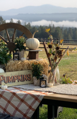 Creating a Fall Centerpiece or Vignette for a Party, Event, or Dinner