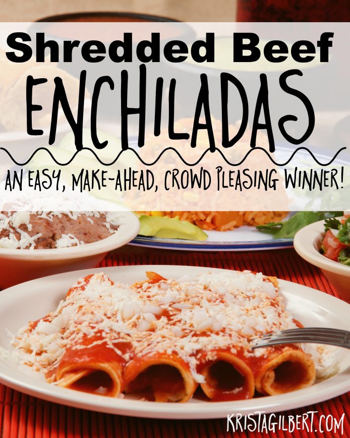 Stock image of traditional mexican red enchilada dinner