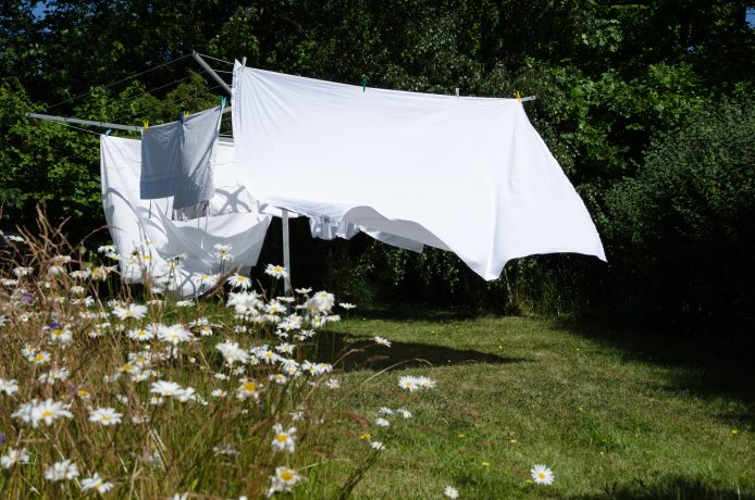 Newly washed white sheets drying at a clothesline in a green garden with daisies